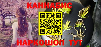 СК Гатчина