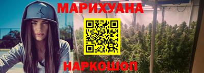 СК Гатчина