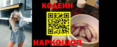 СК Гатчина
