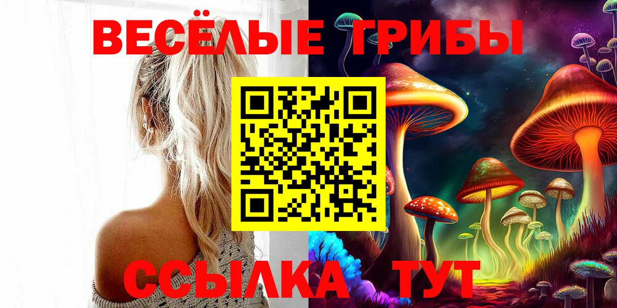 Галлюциногенные грибы мицелий Сергиев Посад